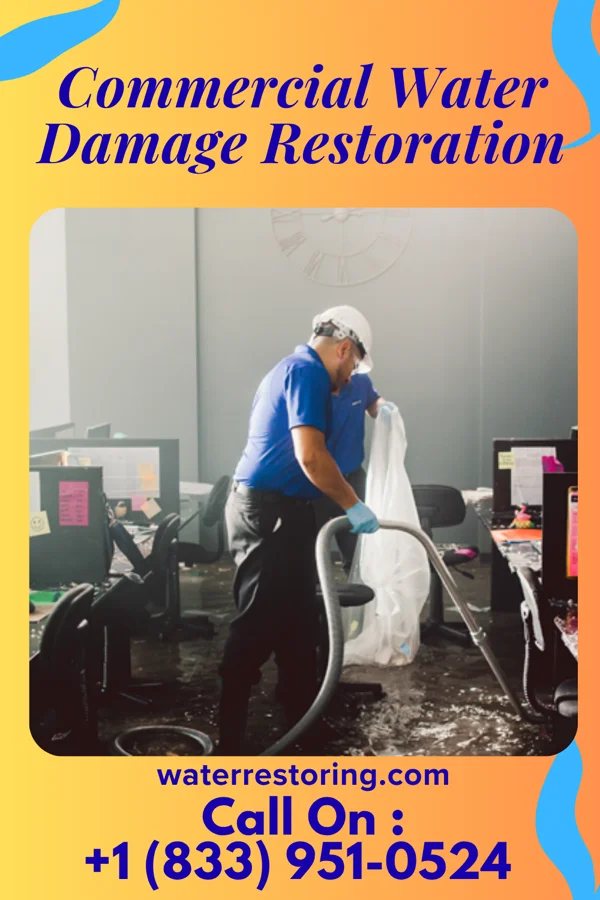 Commercial Water Damage Restoration in Timbercreek Canyon, TX