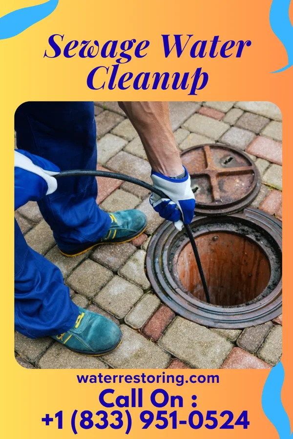 Sewage Water Cleanup in Timbercreek Canyon, TX